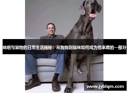 姚明与宠物的日常生活揭秘：从狗狗到猫咪如何成为他家庭的一部分